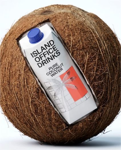 Coconut water carton inside a coconut