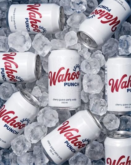 Soda cans on ice